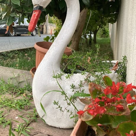 Ağva Ayışığı Otel